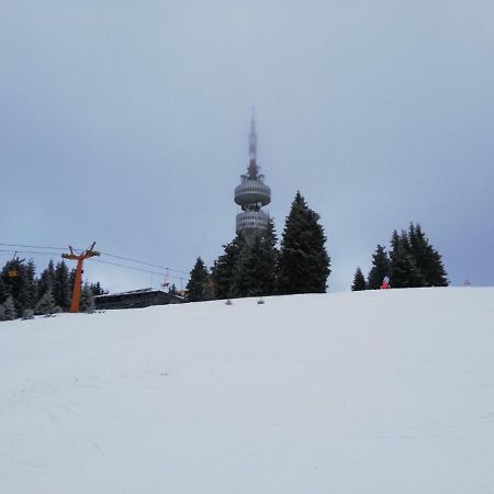 Snowy Dreams Pamporovo Apartment Exterior foto