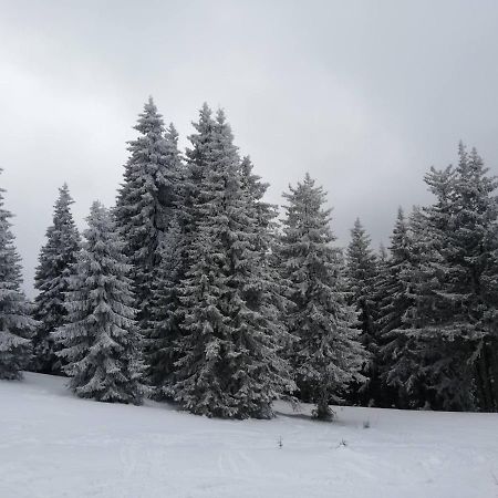 Snowy Dreams Pamporovo Apartment Exterior foto