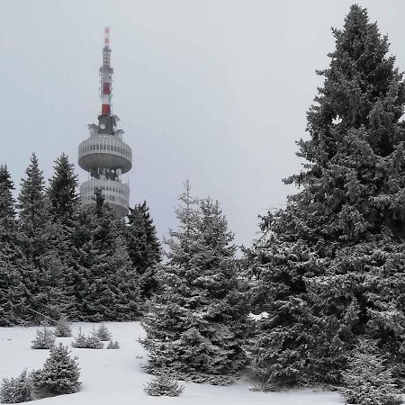 Snowy Dreams Pamporovo Apartment Exterior foto