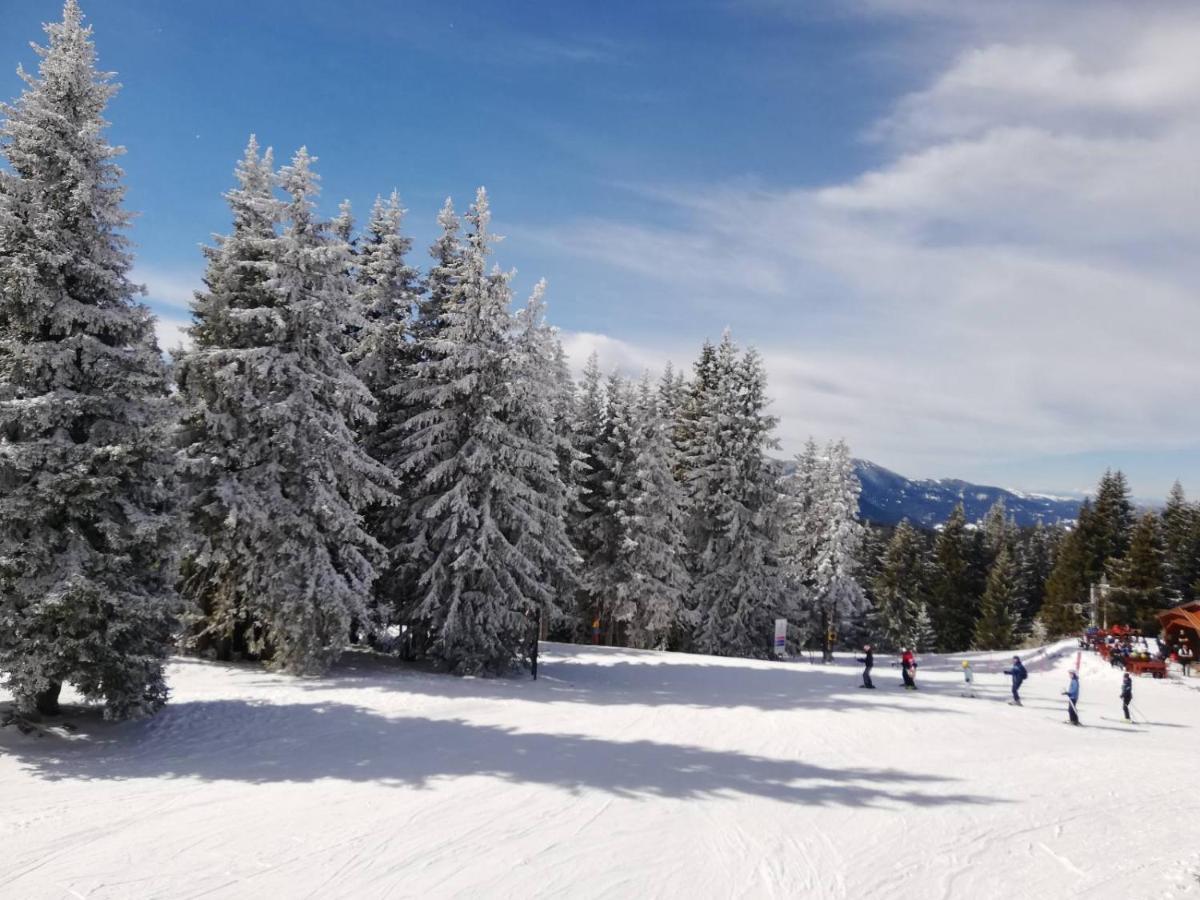 Snowy Dreams Pamporovo Apartment Exterior foto