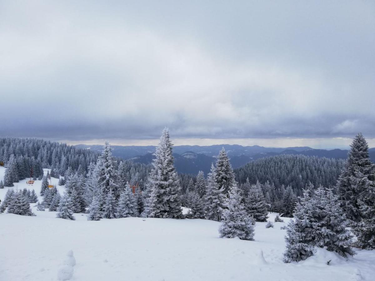 Snowy Dreams Pamporovo Apartment Exterior foto